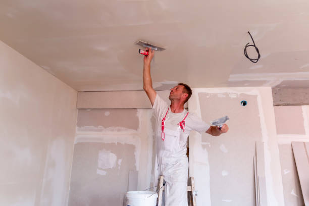 Best Drywall for New Construction  in USA